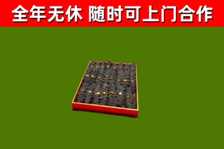 江门回收海参